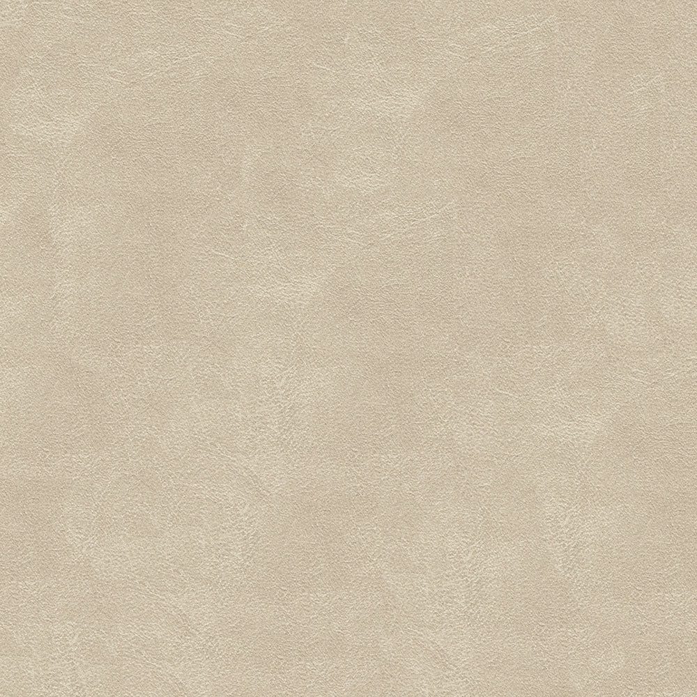 Midship - Image 7