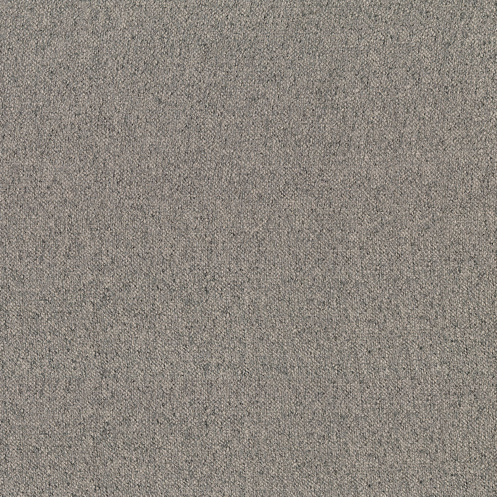 Oasis - Image 7