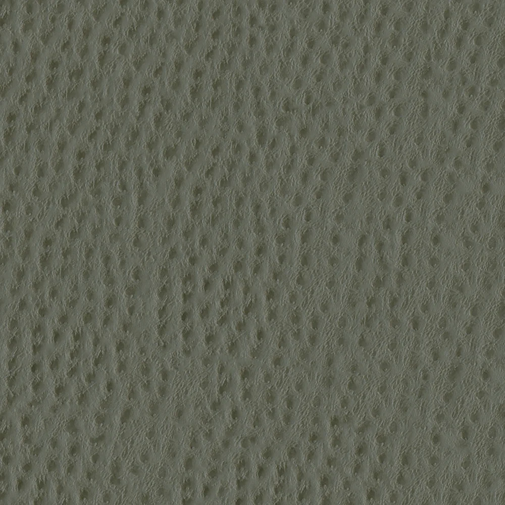 Phoenix - Image 11