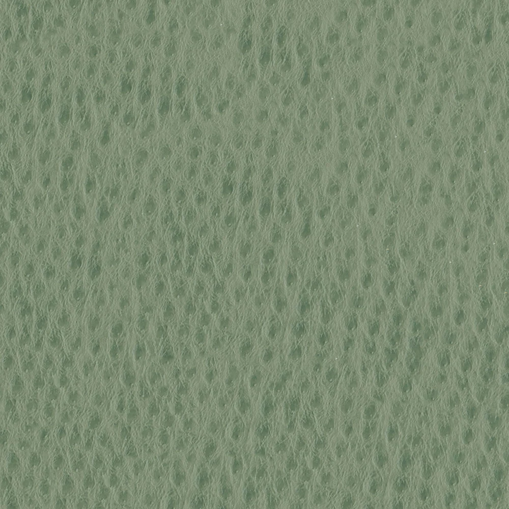 Phoenix - Image 15