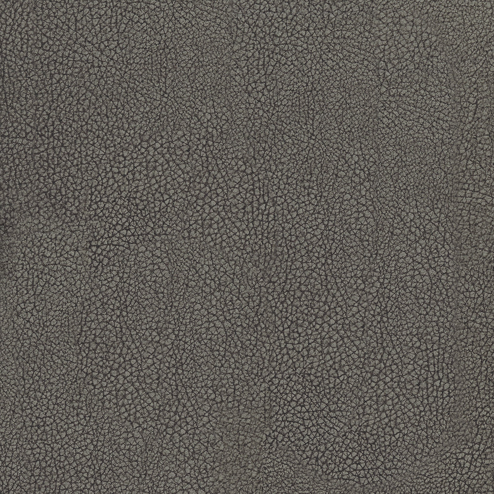 Savara - Image 7