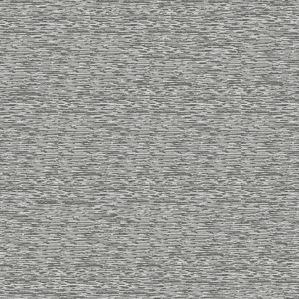 Starling - Image 11