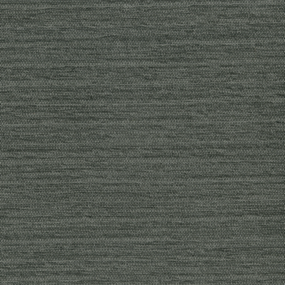 Sycamore - Image 3