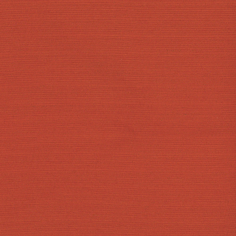 Sycamore - Image 5