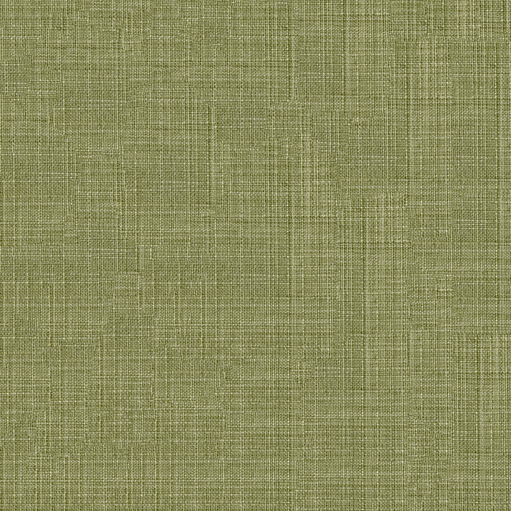 Tropic - Image 33