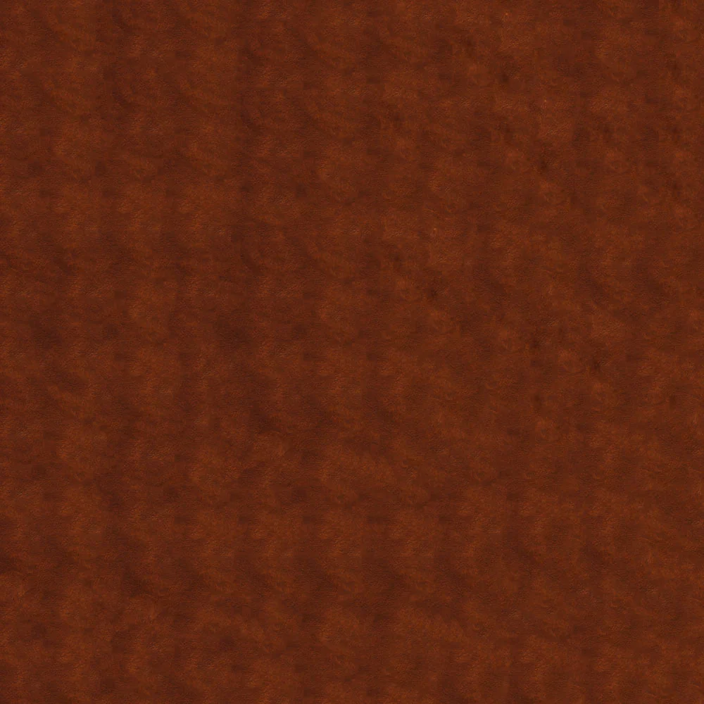 Twilight - Image 23