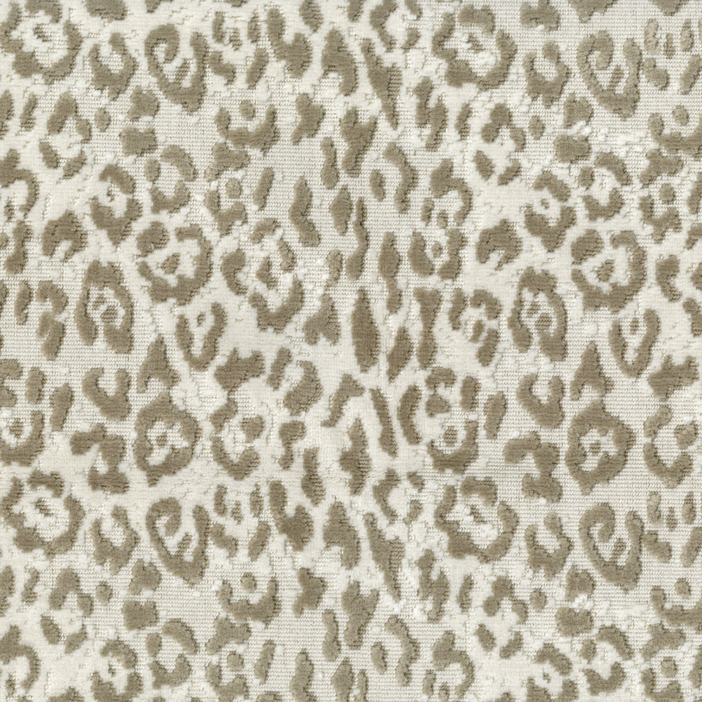 Wild Thing - Image 3