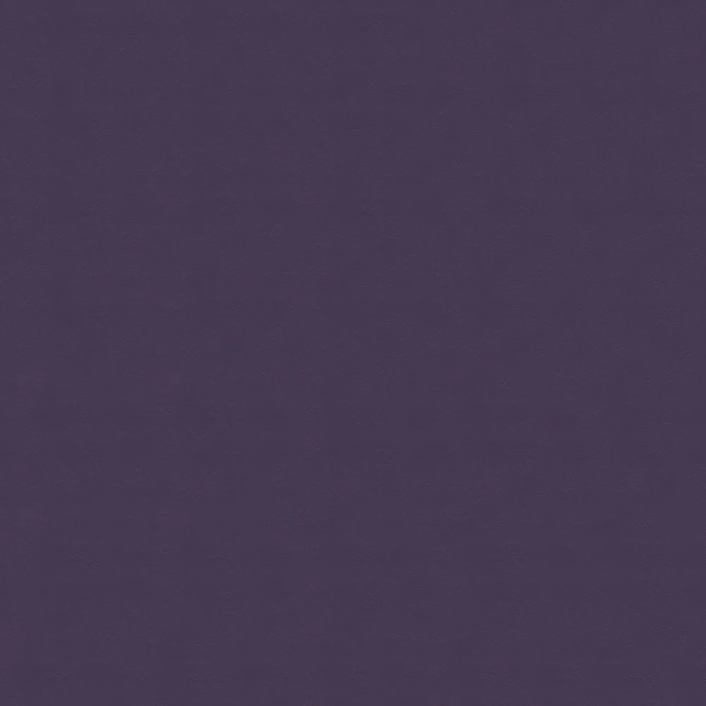 Windsong - Image 25