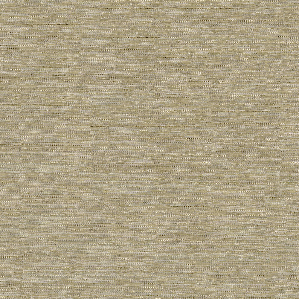 Wren - Image 21
