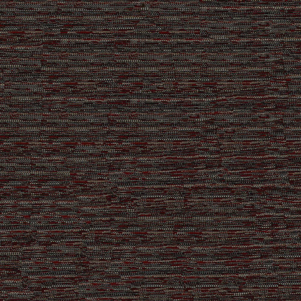 Wren - Image 7